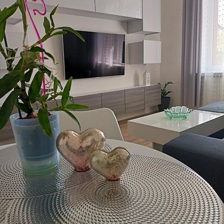 Apartament Slowackiego 41 Jelenia Góra Extérieur photo