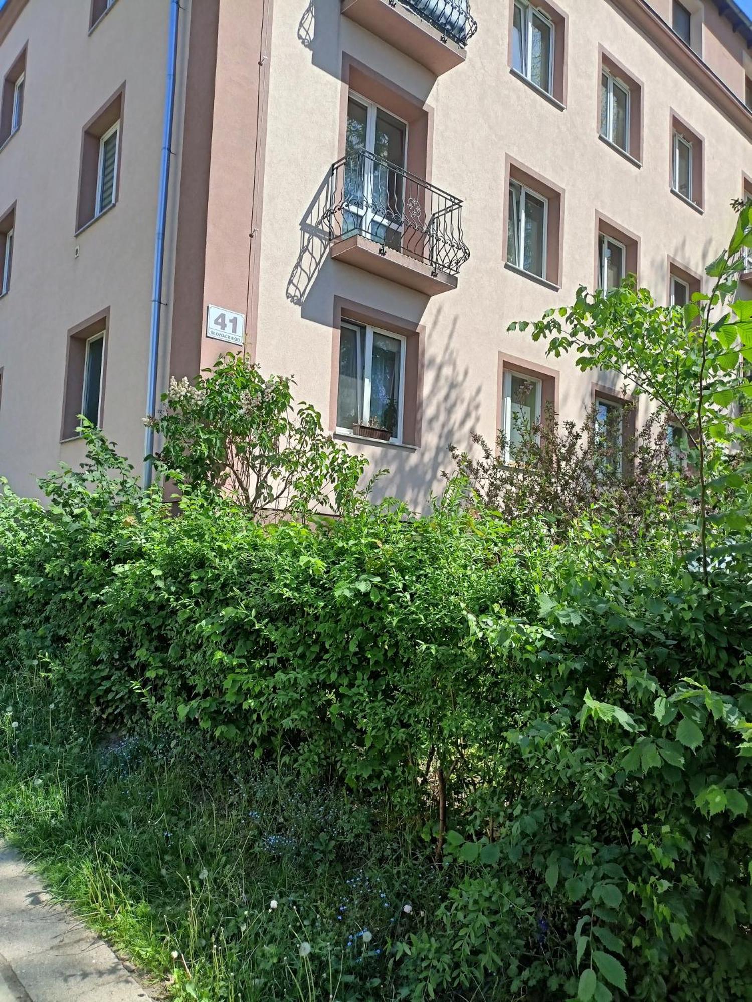 Apartament Slowackiego 41 Jelenia Góra Extérieur photo