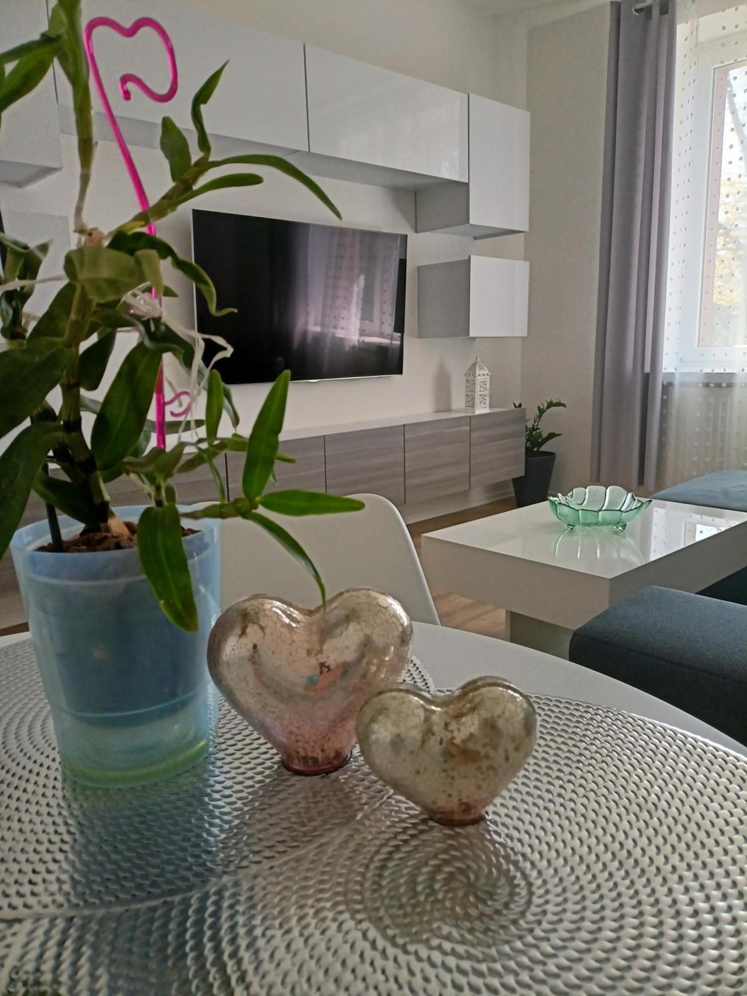 Apartament Slowackiego 41 Jelenia Góra Extérieur photo